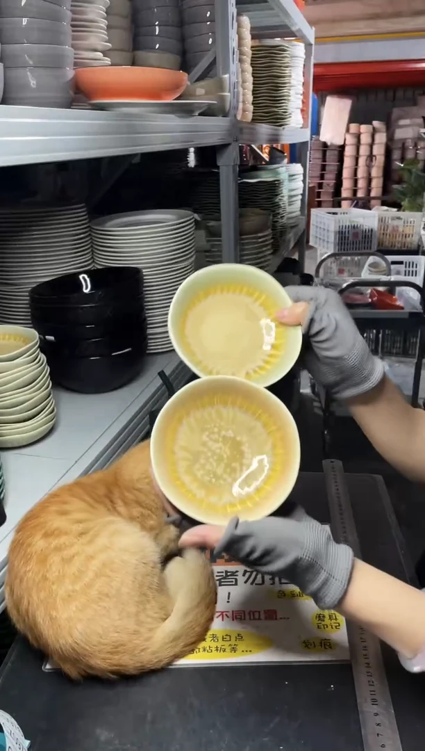 【闪购商品】碗0971         六个