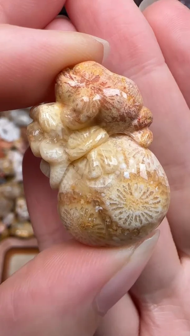 硅化珊瑚（珊瑚玉）未镶嵌颈饰673