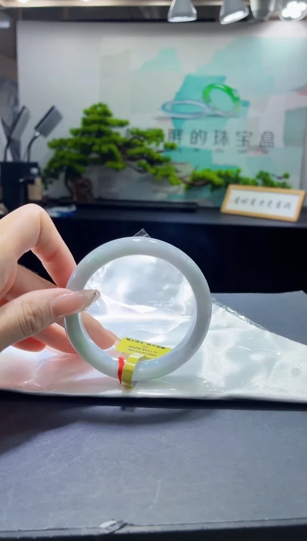 未镶嵌手镯翡翠5
