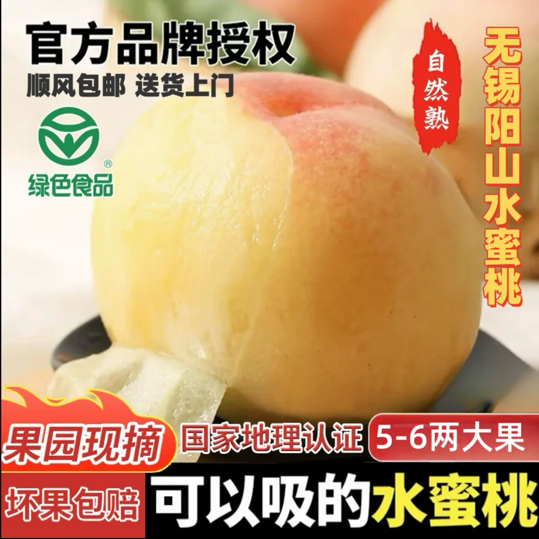 【升级6-5两】正宗无锡阳山湖景水蜜桃当季新鲜水果脆软甜多汁