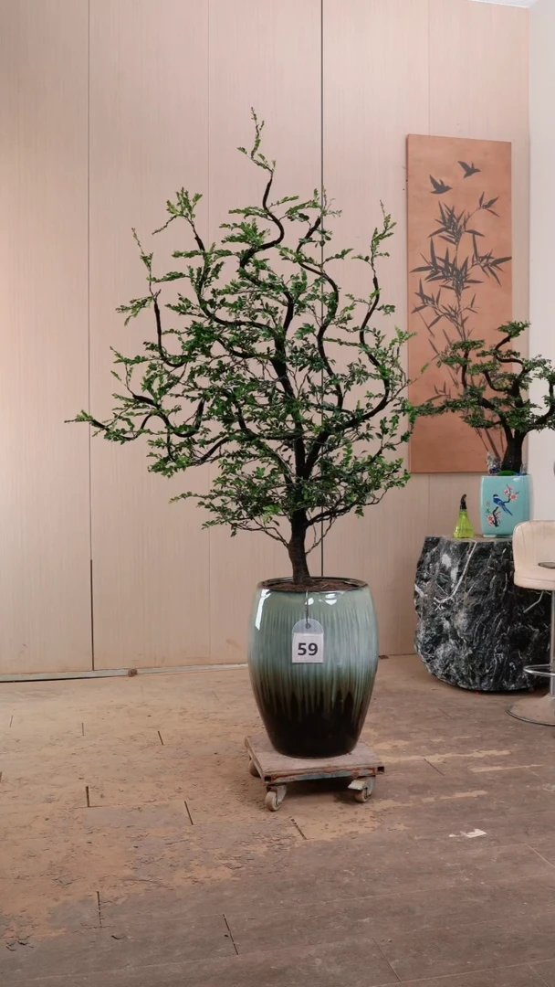 【闪购商品】59号广东小叶紫檀黑骨茶