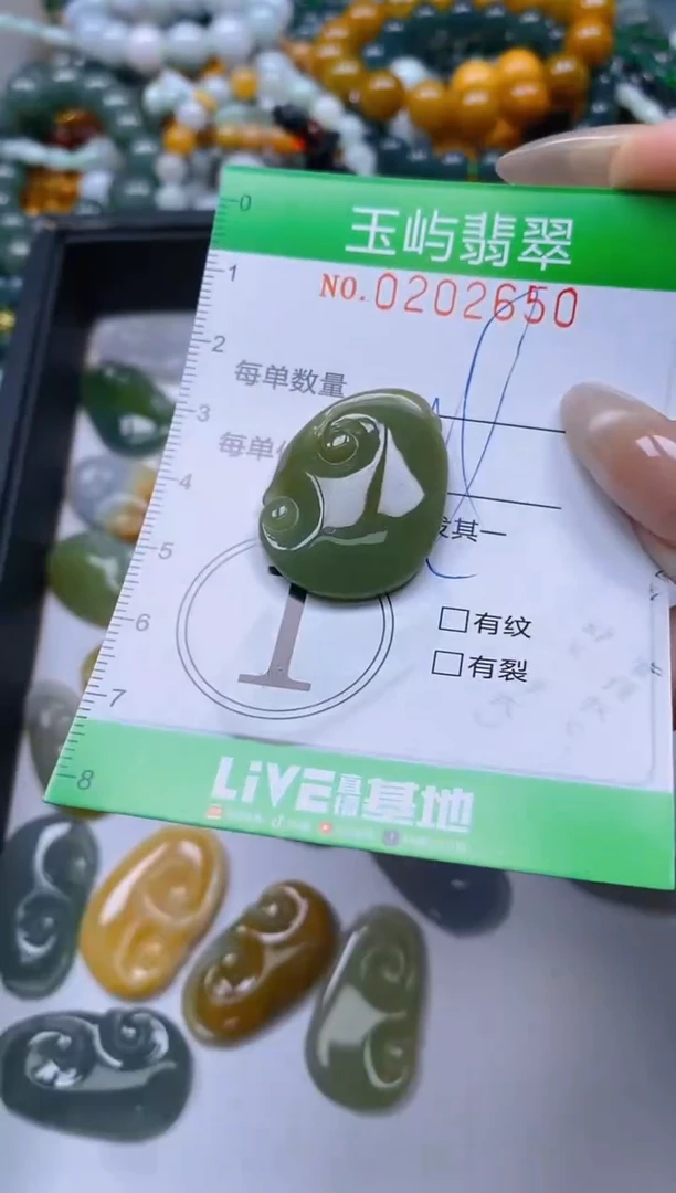 颈饰未镶嵌翡翠闪购0202650