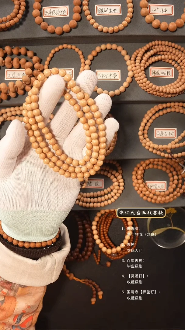 【闪购商品】五线菩提吊坠古树籽去皮脖挂6.9+