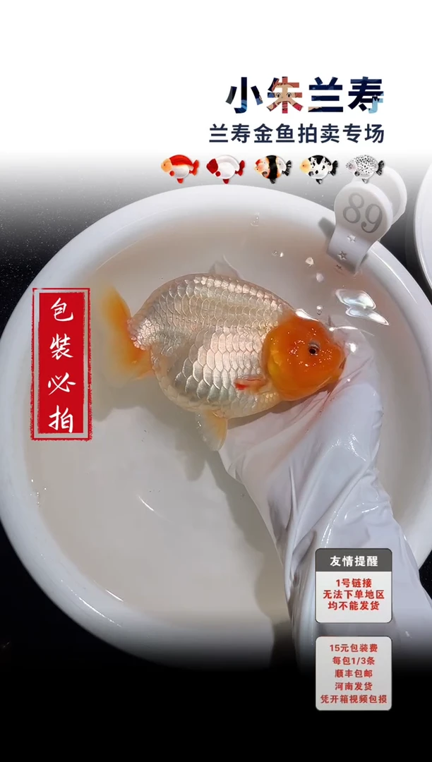 金鱼包装必拍未拍顺丰到付89号