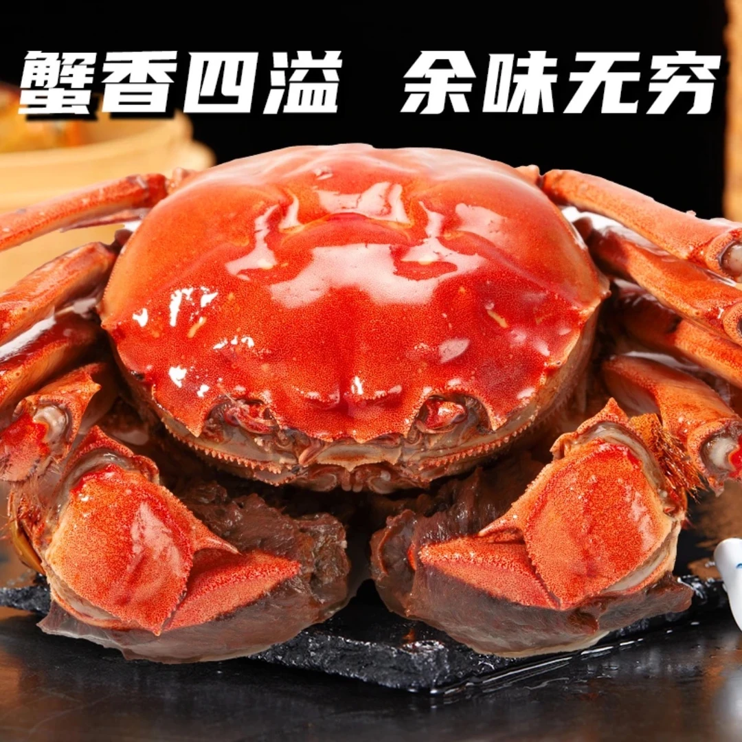 【活蟹现发】江苏河蟹 全母蟹 1.7-1.4两 10只 去绳裸重 礼盒顺丰
