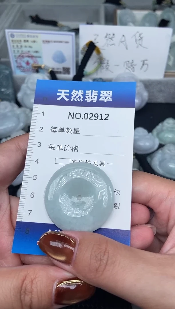 颈饰未镶嵌翡翠纯天然A货翡翠2912