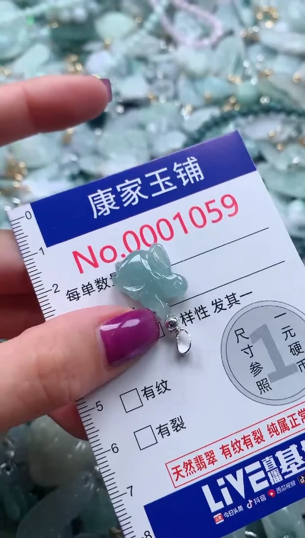 颈饰未镶嵌翡翠1059