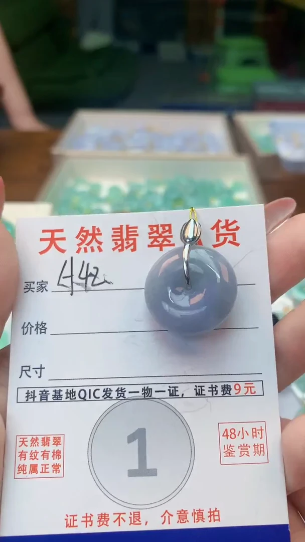 颈饰未镶嵌翡翠天然A货翡翠挂件
