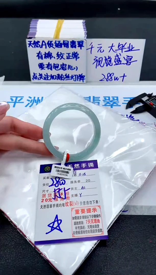 未镶嵌手镯翡翠1111111