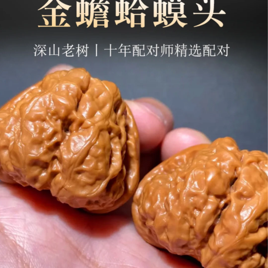 延庆蛤蟆头核桃文玩收藏健身观赏手把件高密精品