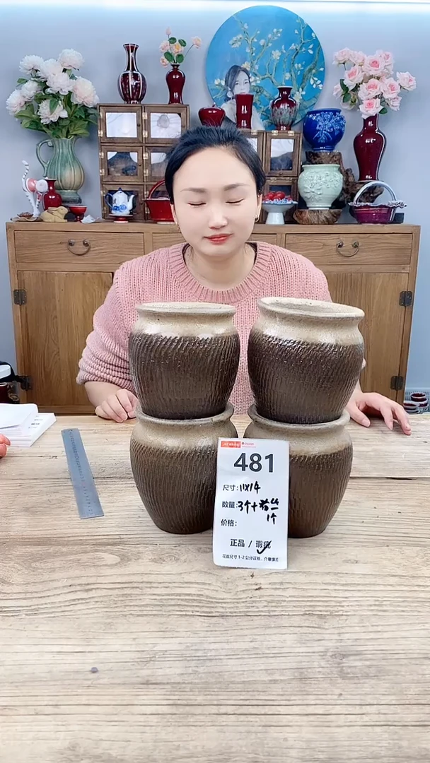 【闪购商品】红陶481
