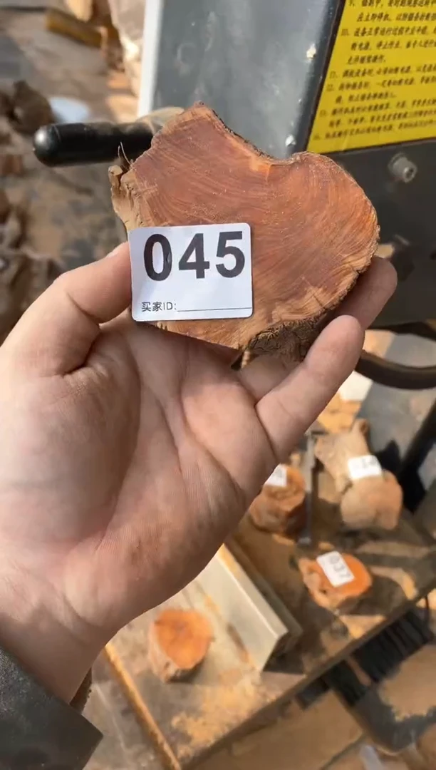 【闪购商品】柏木太行陈化崖柏（津诚林）切片