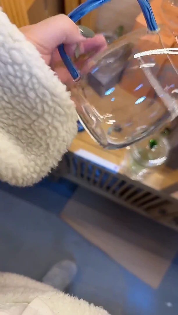 凤玉煮茶器