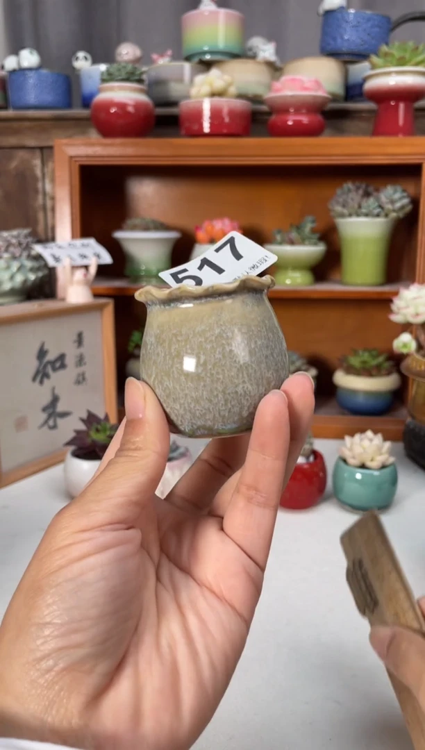 瓷片517知木小芳花盆