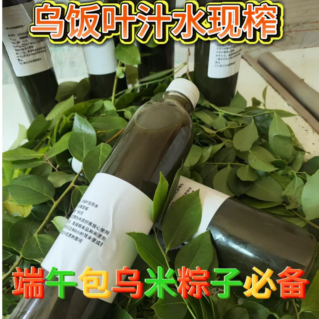 新鲜乌饭叶南烛叶汁水黑米乌米饭