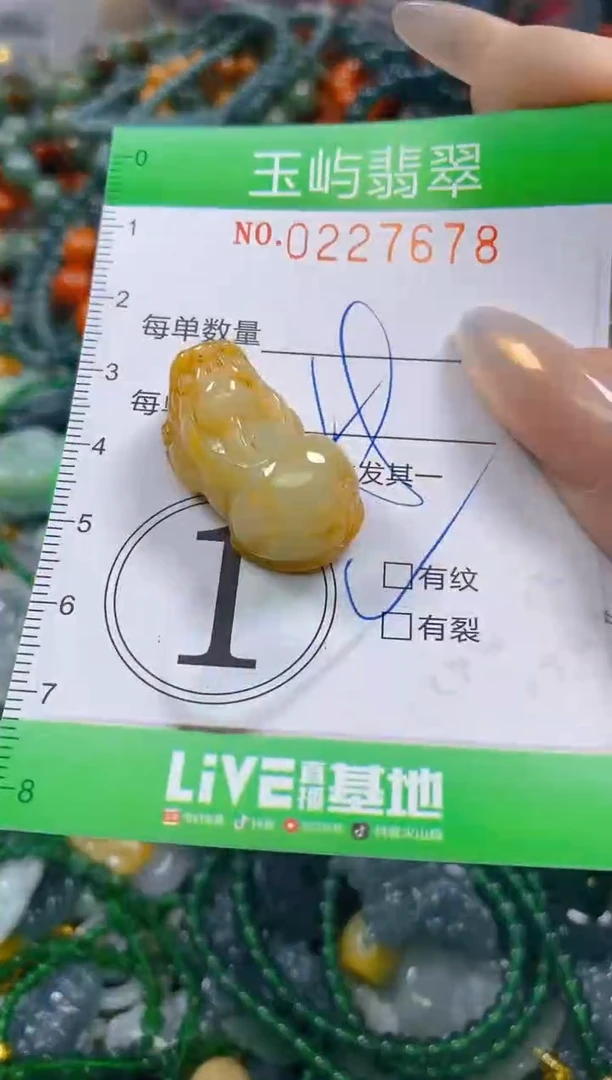 颈饰未镶嵌翡翠闪购0227678