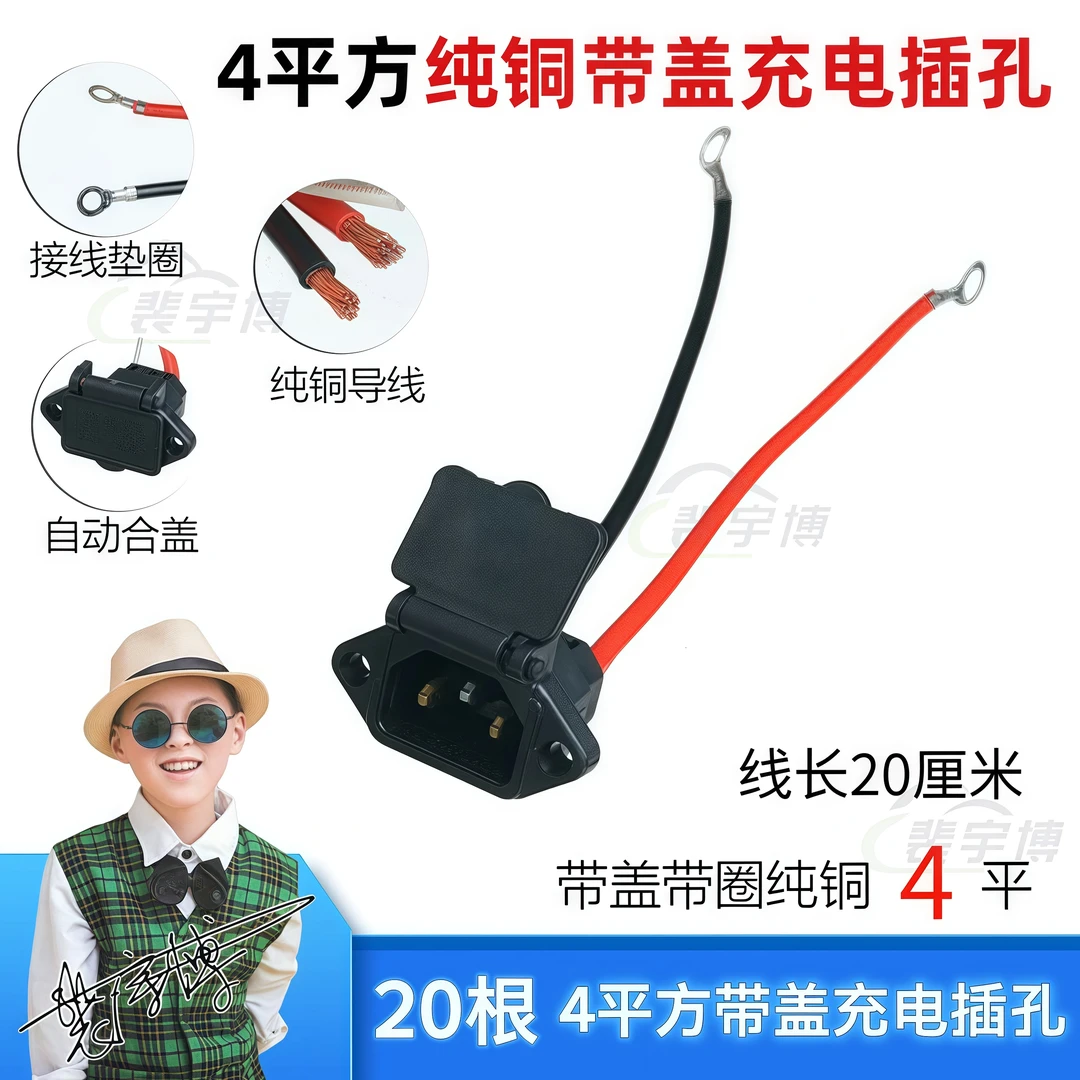 【20根】4平方带盖充电插孔20厘米电动车专用插座