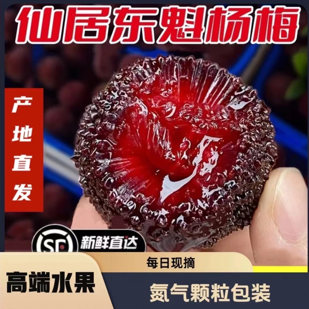 【顺丰包邮次日达】正宗仙居东魁杨梅8A果20-25克氮气颗粒礼盒包装新鲜杨梅杨梅同城送浙江省