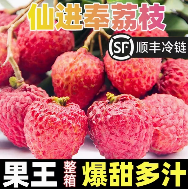 【EMS空运】正宗仙进奉头茬果荔枝皇后新鲜采摘