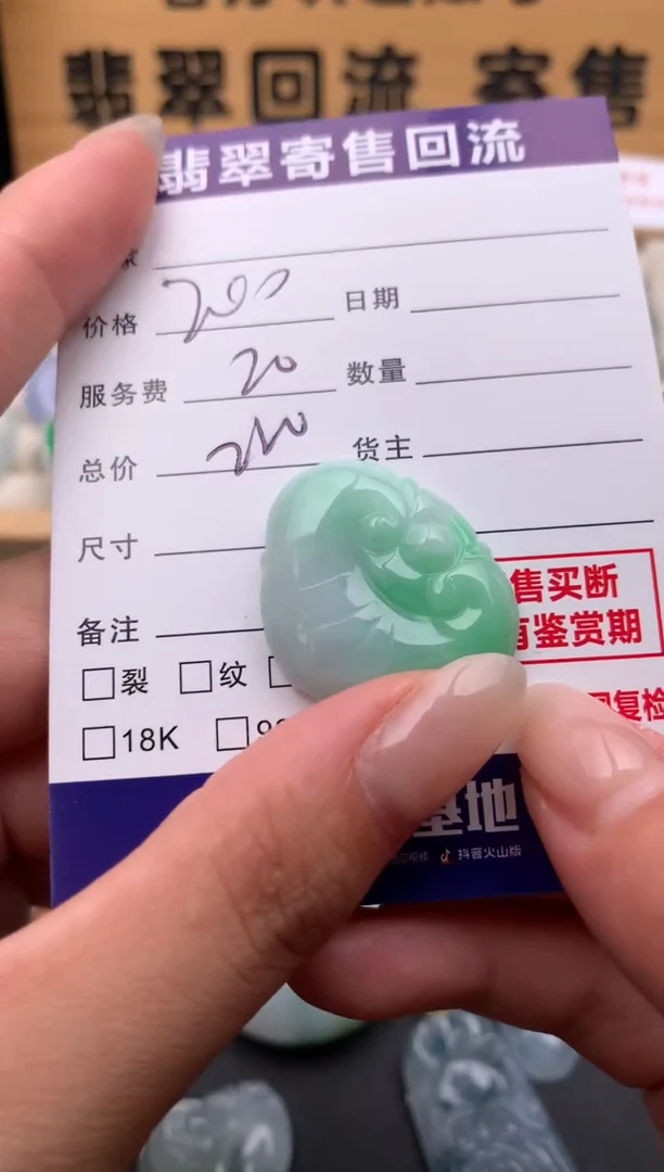 翡翠未镶嵌颈饰10135341