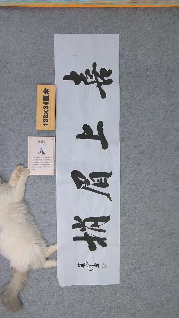 书法王老师精品书法纯手写  黑龙江