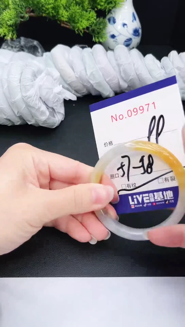 未镶嵌手镯翡翠9971