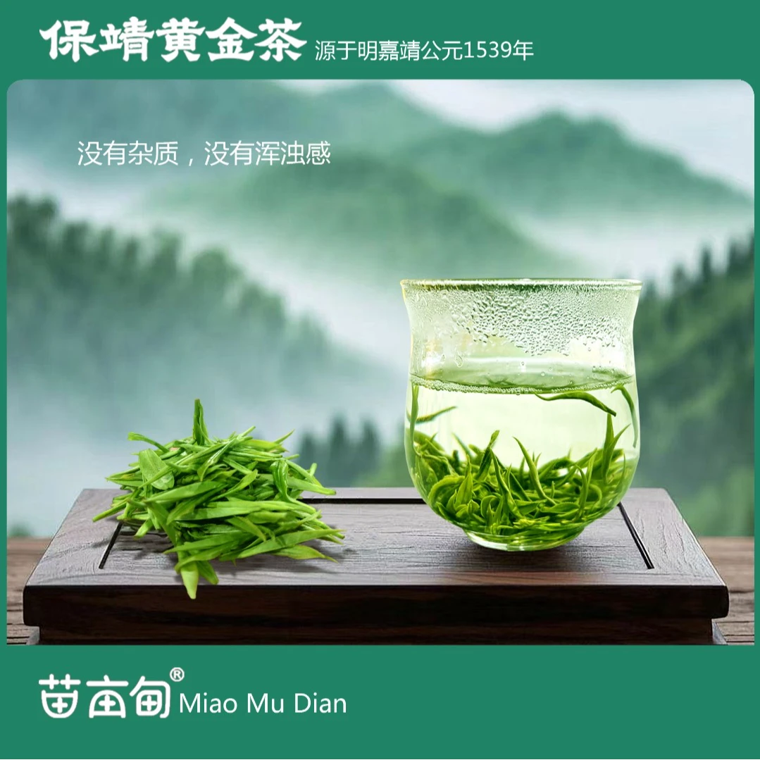 2025湘西保靖好黄金茶2号高山云雾正宗核心产区 品质鲜爽香型好喝
