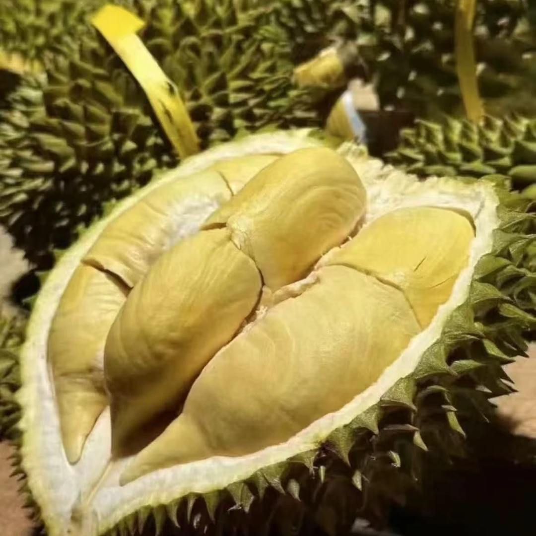 T【顺丰明日达】树熟干尧榴莲新鲜榴莲A级软糯清甜2.1斤-4斤核小干尧越南社会主义共和国