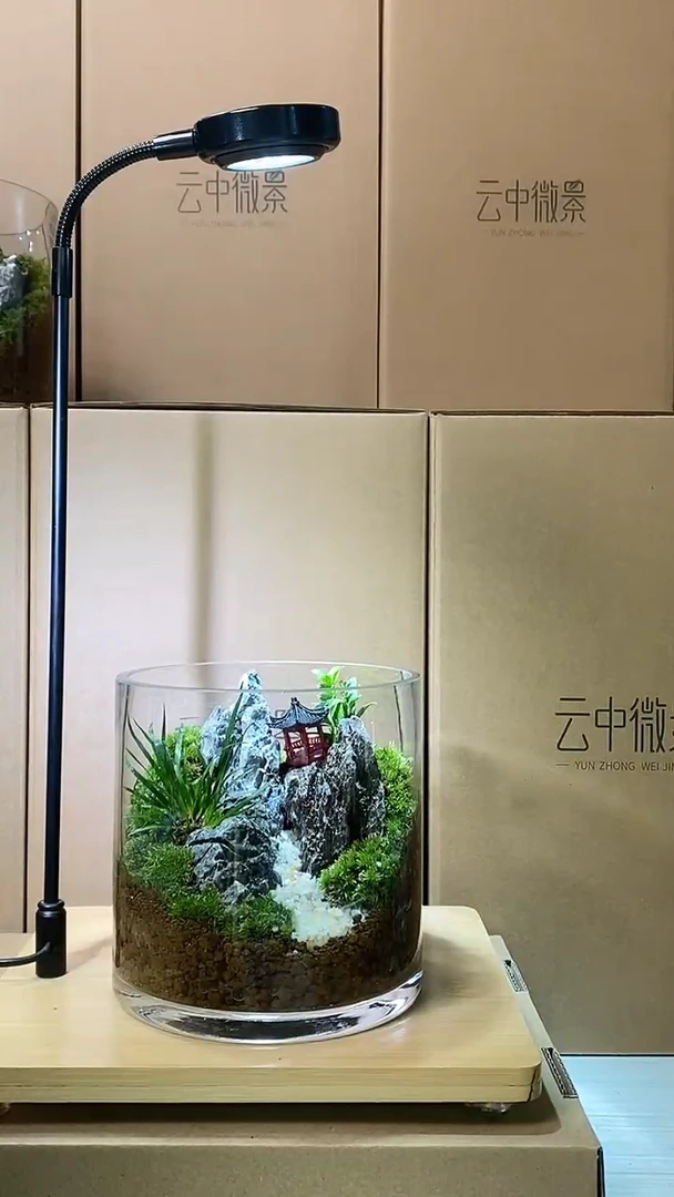 【闪购商品】孤品小圆缸微景观