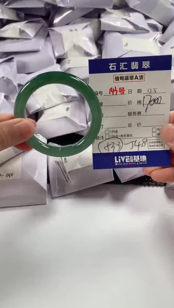 颈饰未镶嵌翡翠1