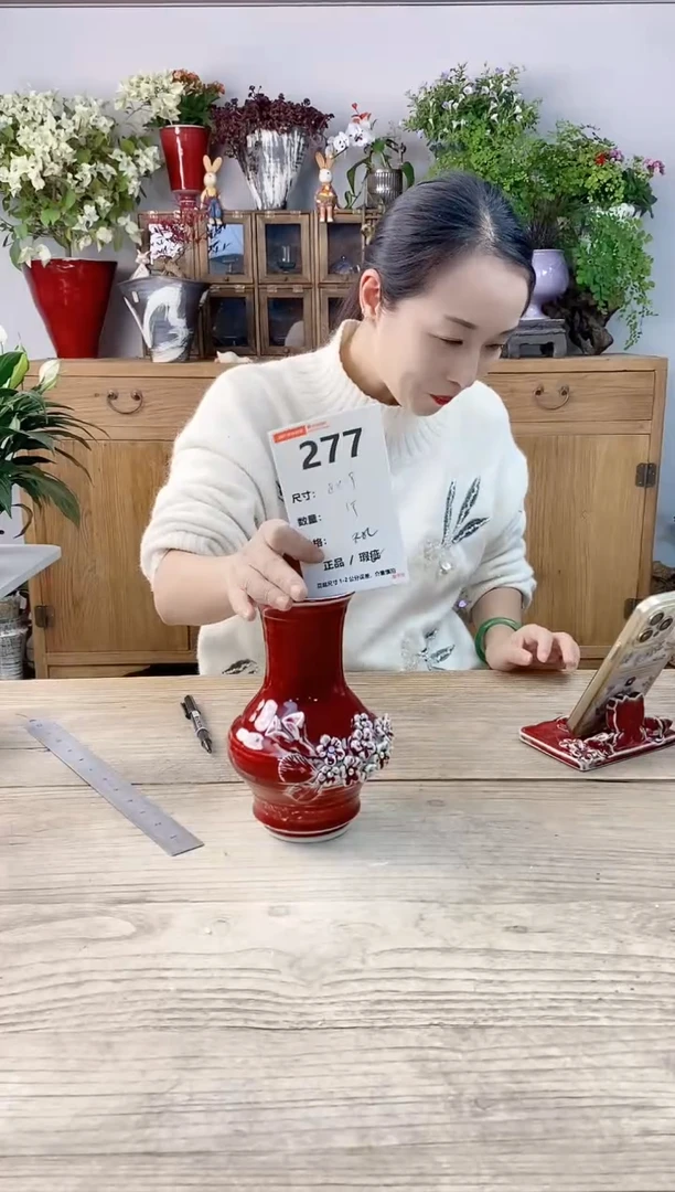 小玩子花盆直播号277