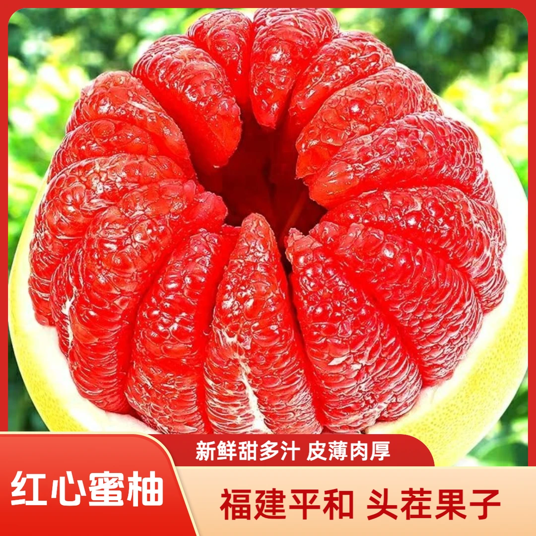 G2【福建红心柚】5斤装正宗头茬老树红心柚子水果新鲜采摘香甜多汁