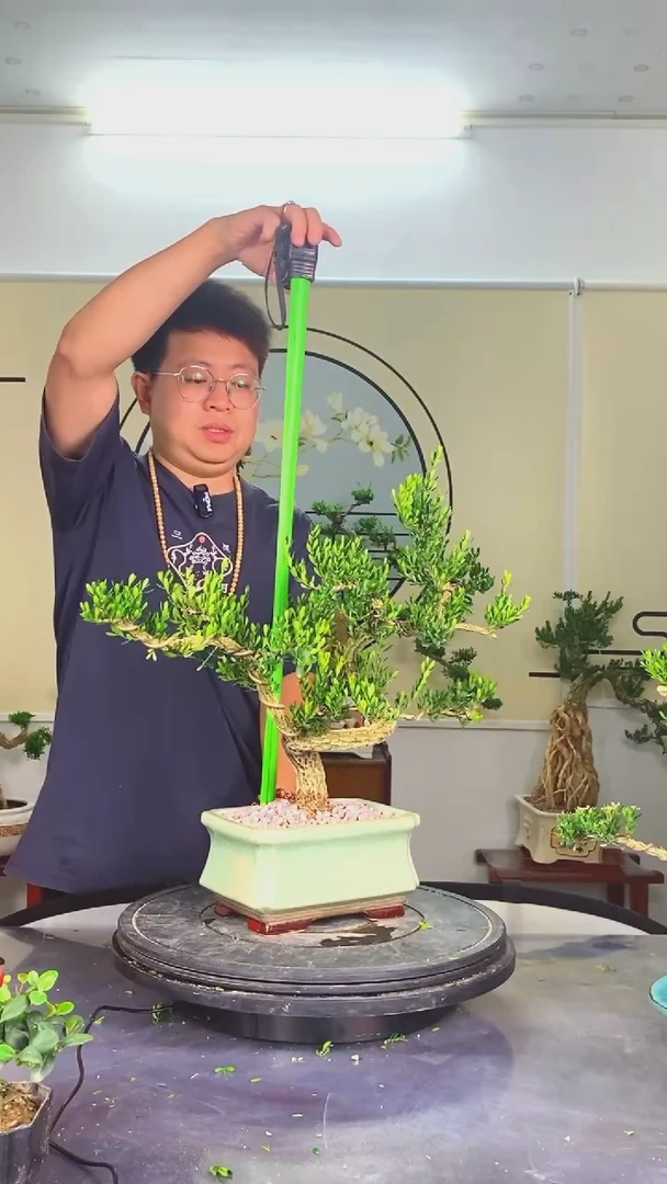 无花朵福利游龙方盆