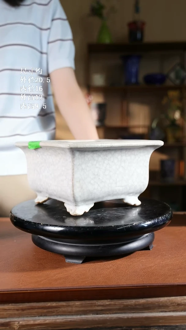 8寸盂型盆    303