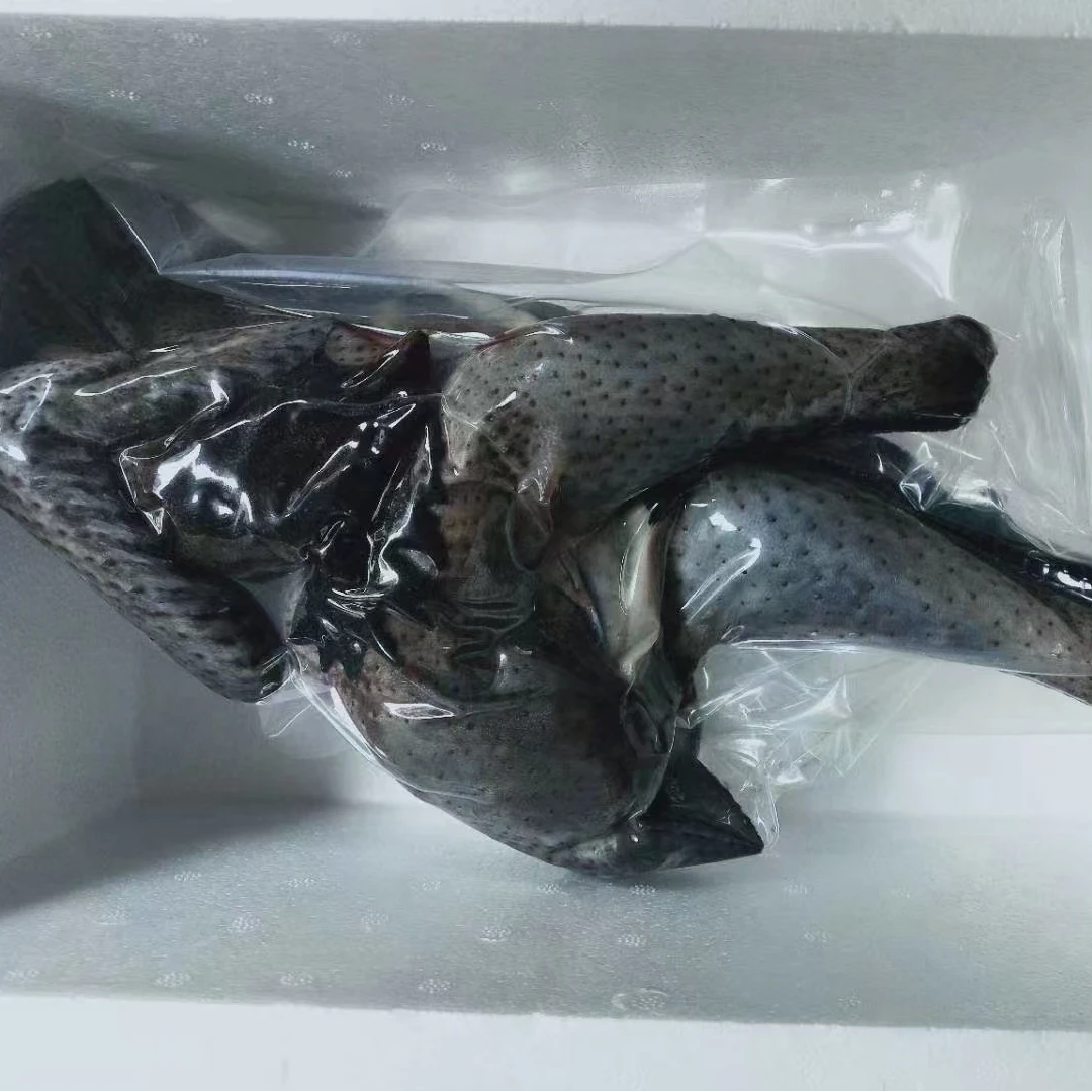 【无量山青年鸡】盐津乌鸡庄园自养土鸡 顺丰包邮包损