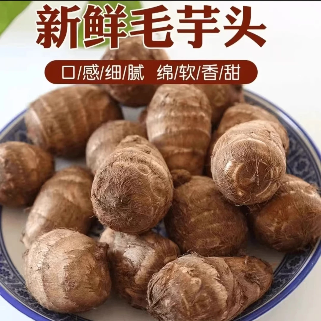 新鲜牛奶小芋头山东农户现挖芋头粉糯毛芋头艿芋小香芋