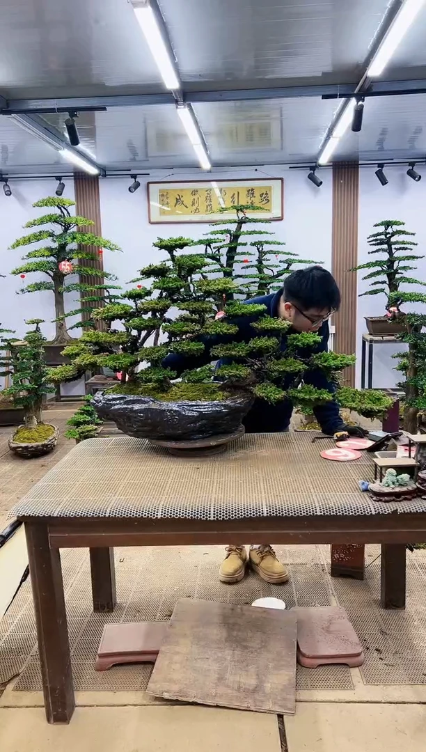 【闪购商品】一物一拍，所见即所得