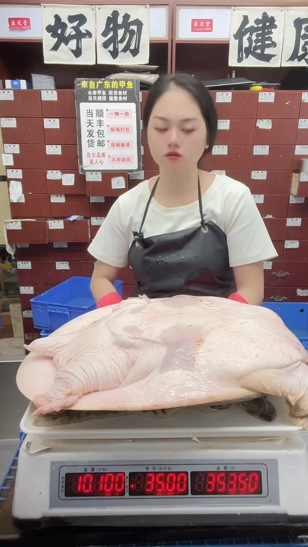 中国大陆꧔*久20.8斤一只