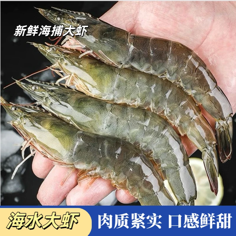 特大号海洋大虾  12-15只左右/斤 冷链发货 新鲜活虾锁冻整箱5斤