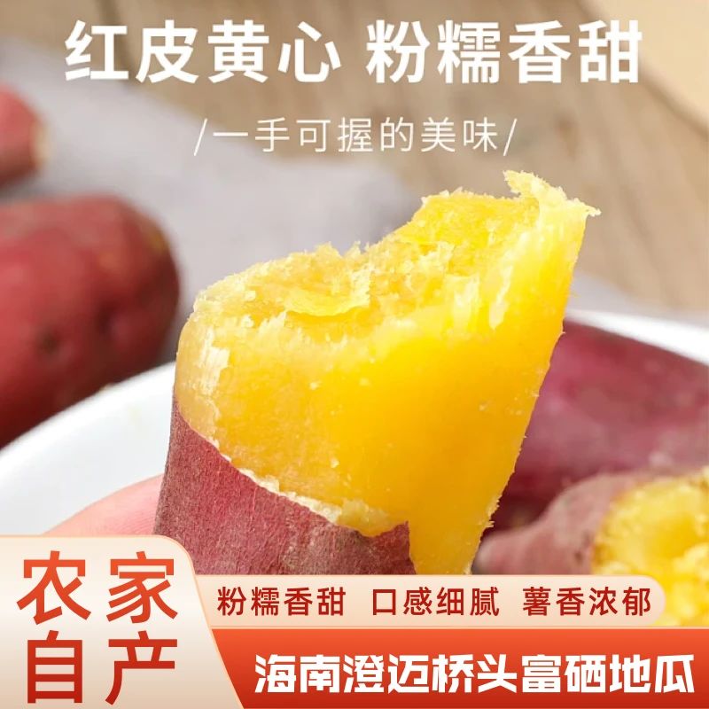 AC生活正宗桥头地瓜5斤装富硒农家自产新鲜沙地板栗香薯山芋红薯