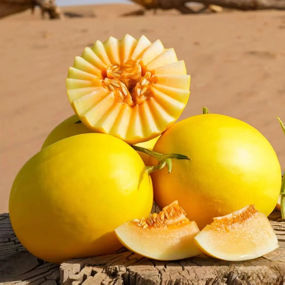 金色年华黄金哈蜜瓜 1个4斤到5斤左右