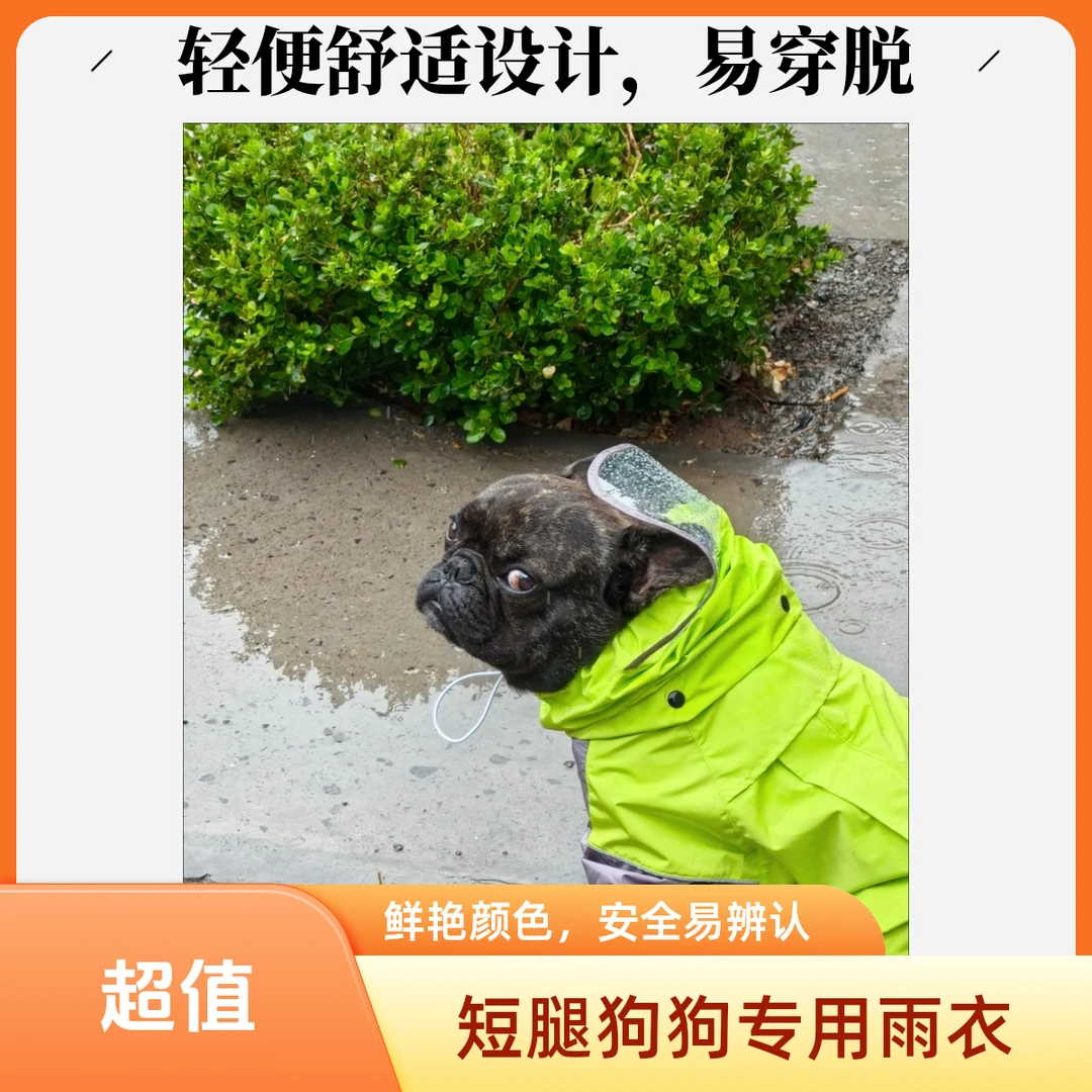 宠物狗狗雨衣四脚全包柯基犬斗牛犬巴哥犬专用雨衣短腿狗专用雨披