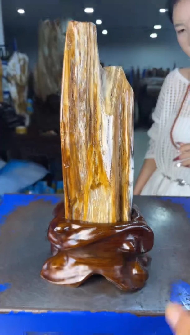 未镶嵌摆件硅化玉41