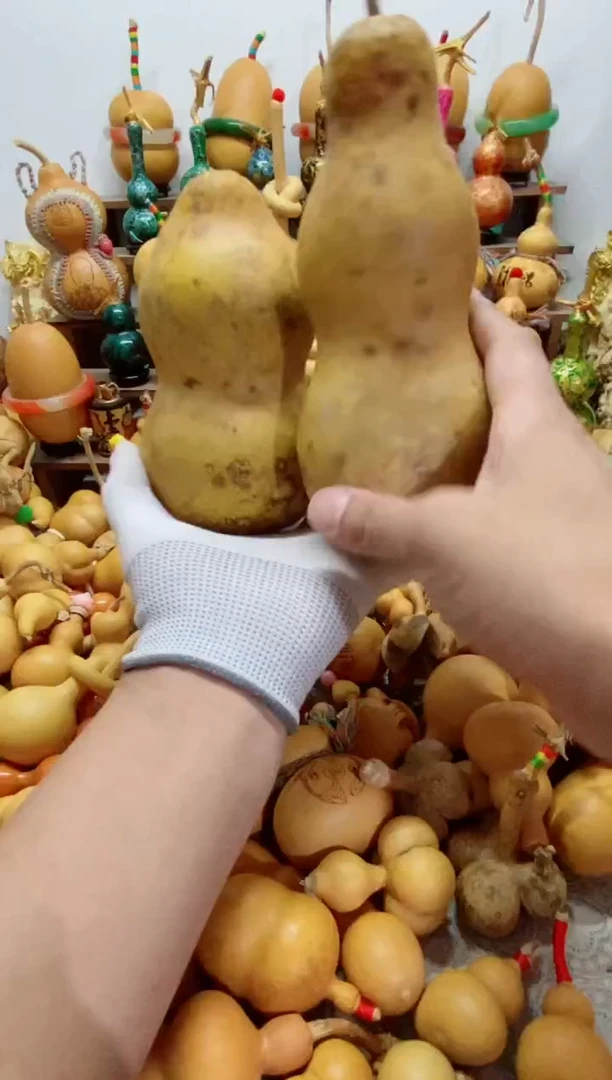 无有万事如意往事随风666