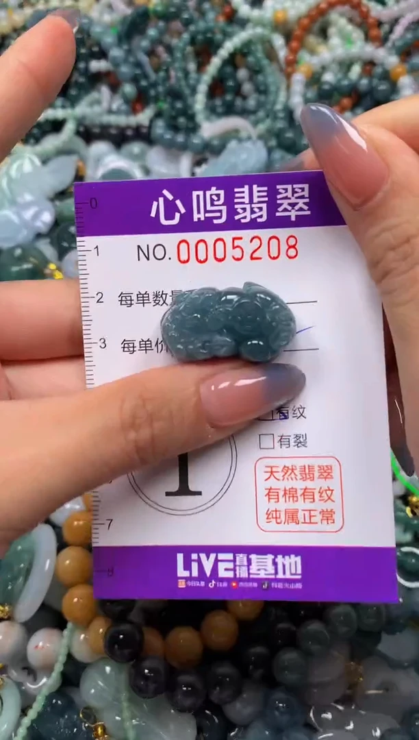 颈饰未镶嵌翡翠闪购005208