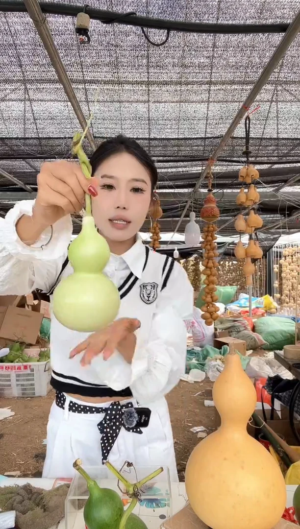 681天然葫芦摆件 一物一拍龙头不保售后