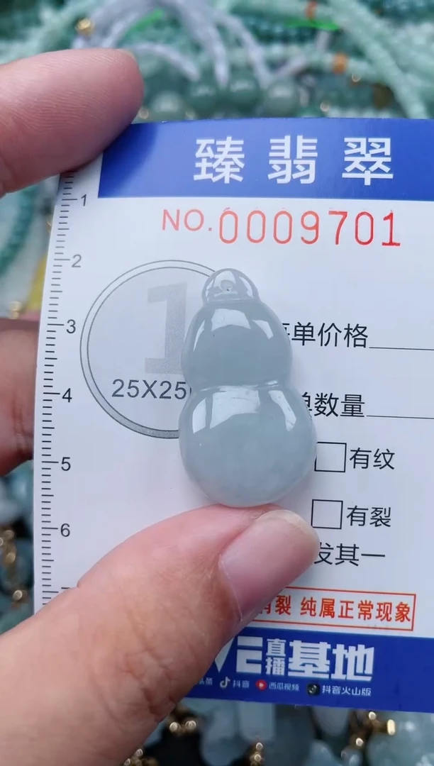 翡翠未镶嵌颈饰.0009701