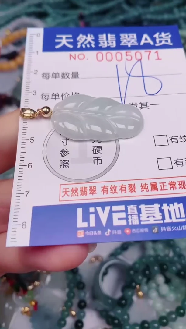 颈饰未镶嵌翡翠00005071