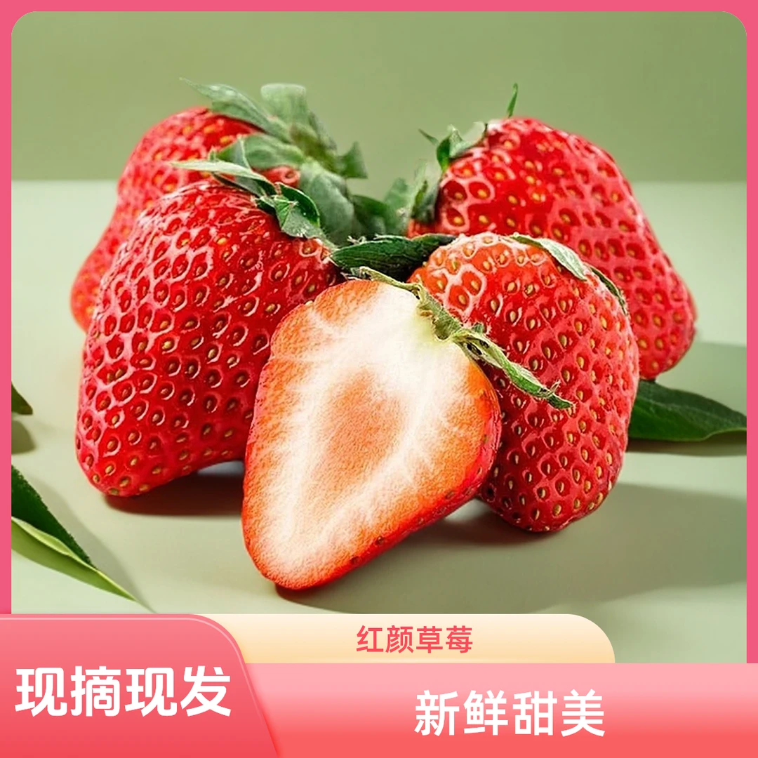 【现摘现发】丹东红颜草莓奶油草莓新鲜小果果酱 中通京东包邮 300g红颜奶油草莓中国大陆