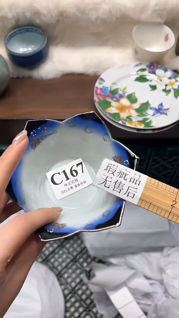 【闪购商品】瓷片          C167